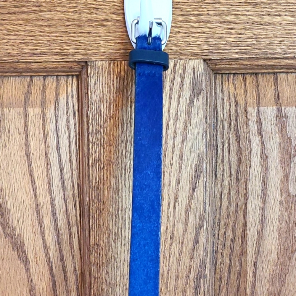 ✨️Free w/ Purchase✨️ XS Gap Blue Belt